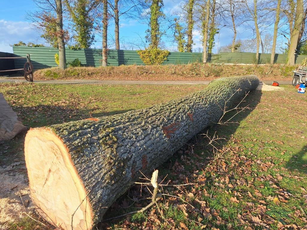 Eikenhouten stammen, Doe-het-zelf en Verbouw, Ophalen, 50 mm of meer, Balk, Minder dan 200 cm