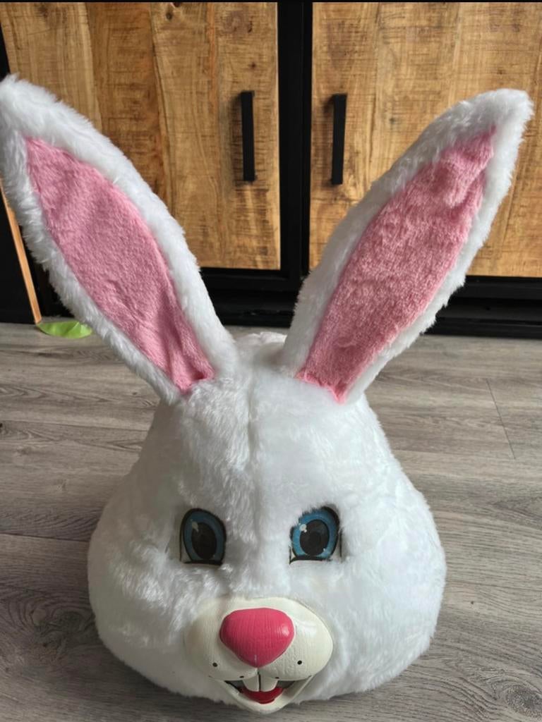 Paashaas mascottepak konijn mascotte kostuum haas pasen, Ophalen of Verzenden, Zo goed als nieuw, Pak of Jurk