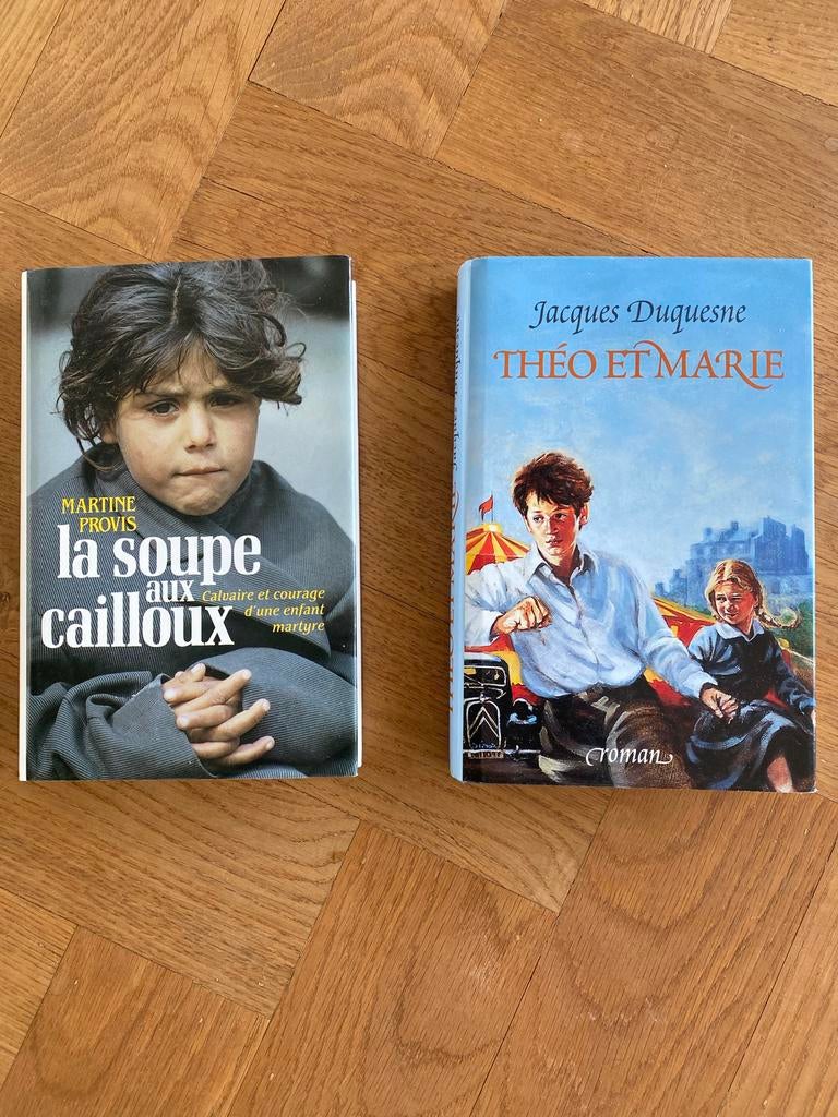 Boeken: La Soupe Cailloux & Théo et Marie, Ophalen of Verzenden, Zo goed als nieuw, Europa overig