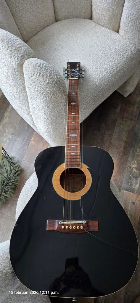 Segovia Flat Top Gitaar - Full Size, Muziek en Instrumenten, Snaarinstrumenten | Gitaren | Akoestisch, Ophalen of Verzenden, Gebruikt