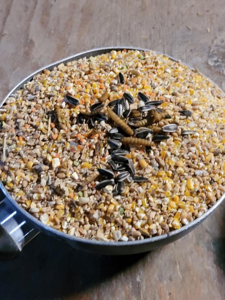 Zeeuws legvoer. Grof gemalen, 60 ct/ kg .  zak 25 kg., Dieren en Toebehoren, Dierenvoeding, Ophalen of Verzenden