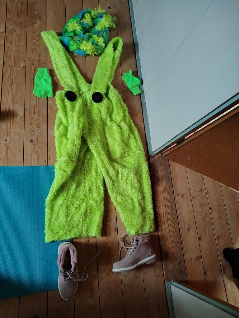 Leuke complete carnavals outfits!, Kleding | Dames, Carnavalskleding en Feestkleding, Ophalen of Verzenden, Maat 36 (S), Carnaval