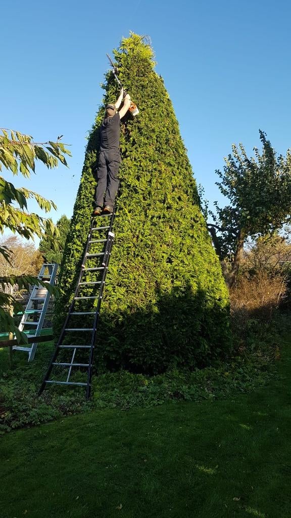Hovenier, Diensten en Vakmensen, Tuinmannen en Stratenmakers, Bestrating, Hekwerk of Schuttingen, Tuin- of Vijveraanleg, Tuinonderhoud of Snoeiwerk