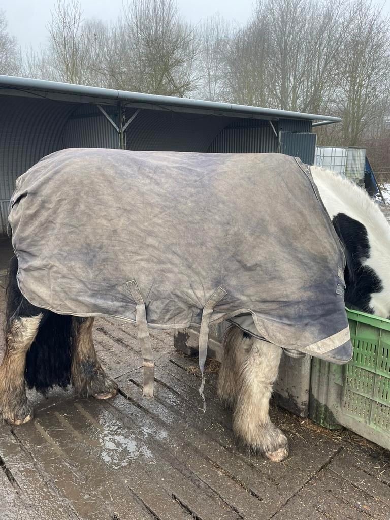 Amigo Bravo 12 maat 6.0 250 gram, Ophalen of Verzenden, Gebruikt, Deken