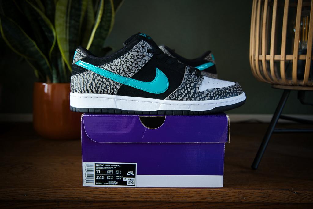 Nike SB dunk low atmos elephant travis scott patta supreme, Overige kleuren, Nieuw, Ophalen of Verzenden, Sneakers of Gympen