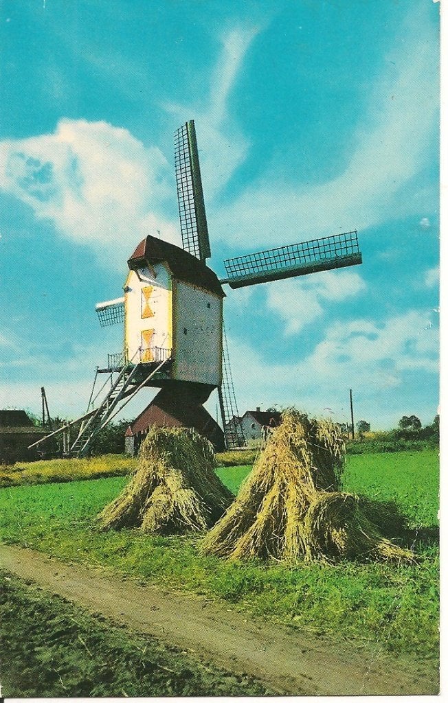 Ansichtkaart Standaard korenmolen Baexem (L.), Verzamelen, Ansichtkaarten | Nederland, Ophalen of Verzenden, 1960 tot 1980, Ongelopen
