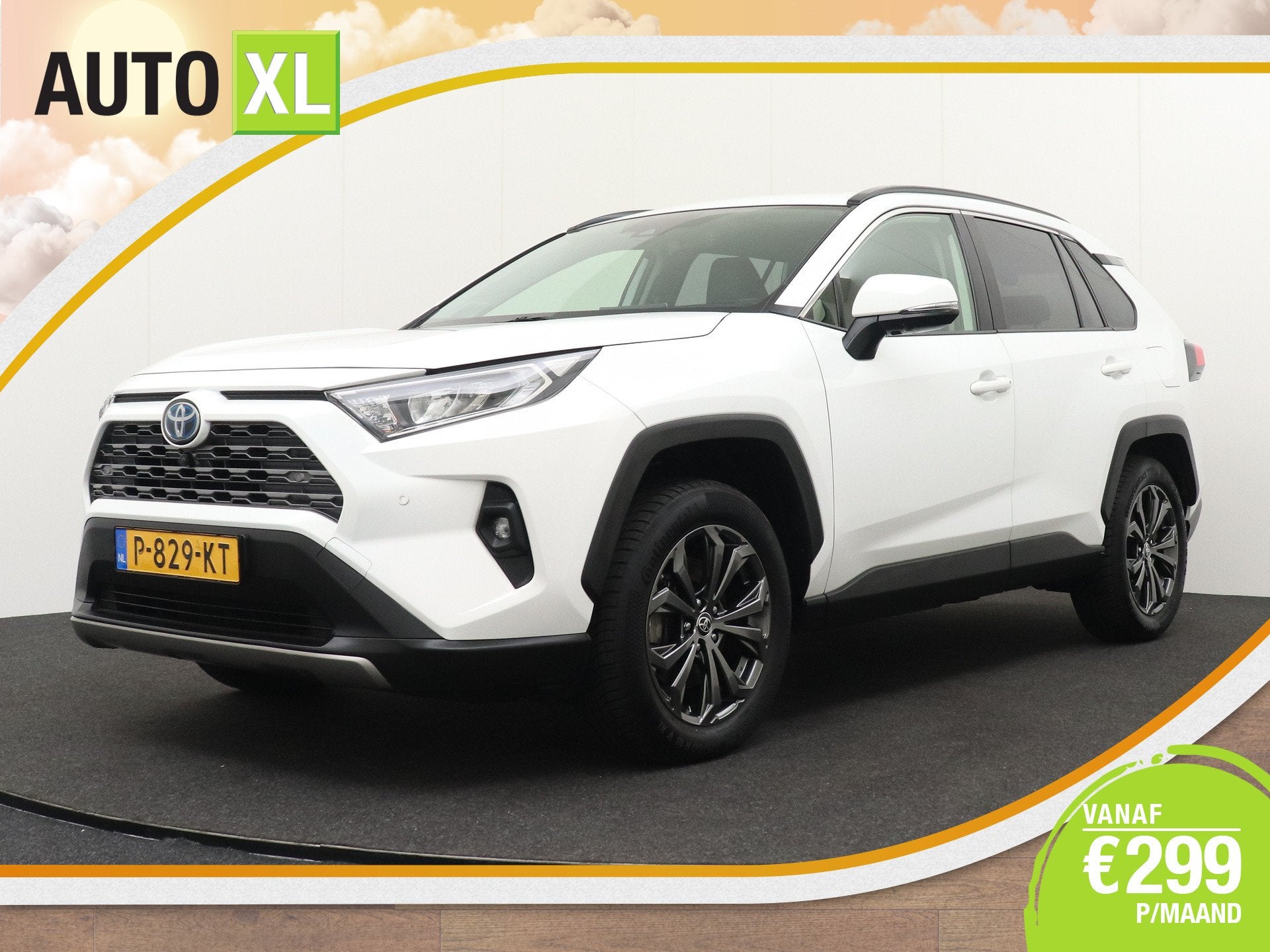 Toyota RAV4 2.5 Hybrid Business+ JBL 360* Camera Leder