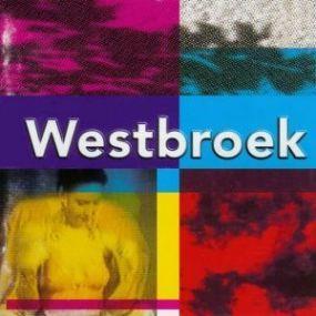 HENK WESTBROEK - Westbroek, Ophalen of Verzenden, Zo goed als nieuw, Pop