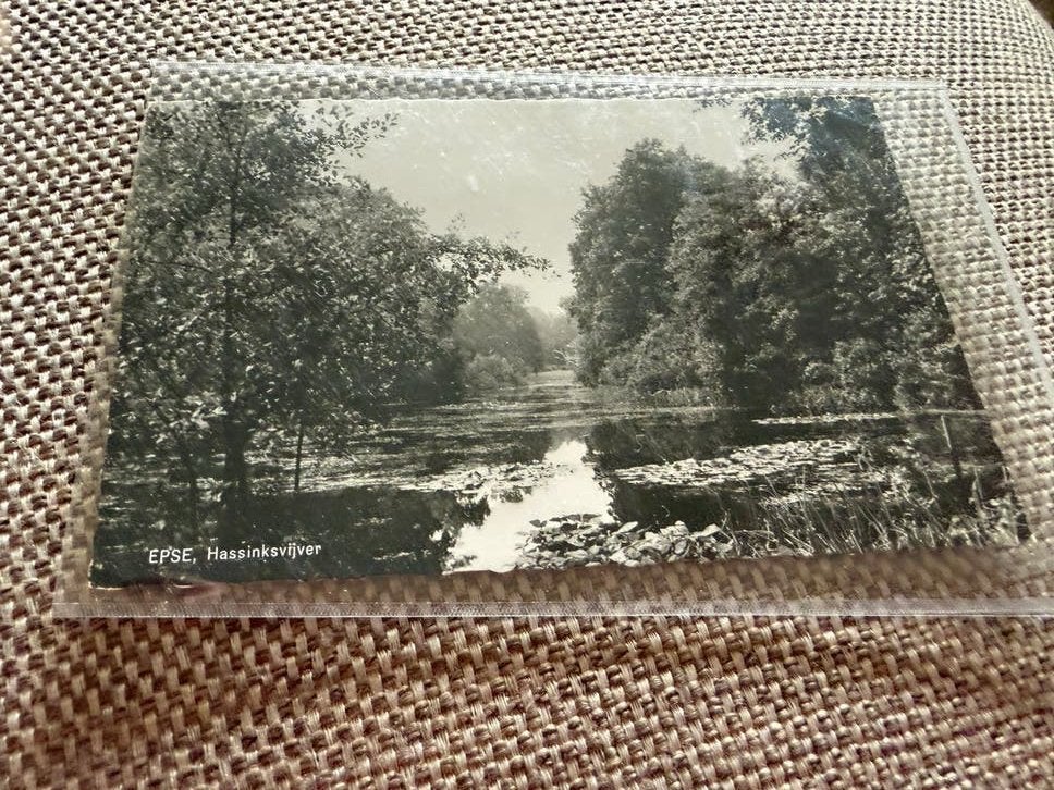 Ansichtkaart Epse Hassinkvijver, Ophalen of Verzenden, 1960 tot 1980, Overijssel