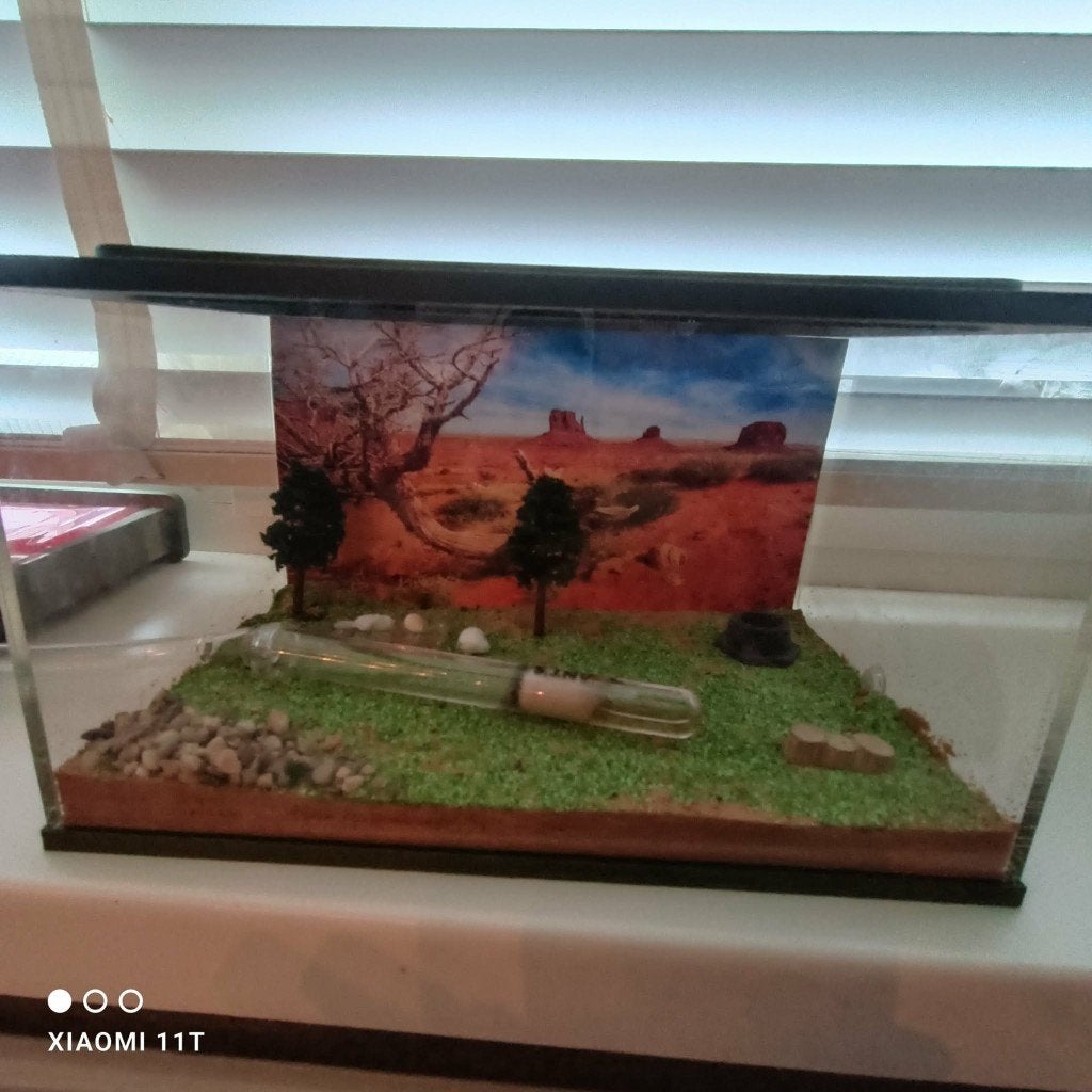 Mierenboerderij compleet zie omschrijving, Mieren