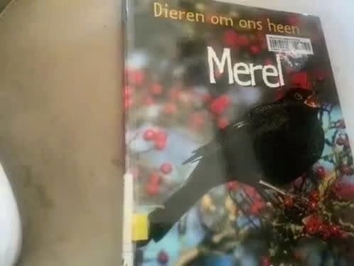 Dieren om ons heen: Merel - Boek over vogels, Ophalen of Verzenden, Vogels, Onbekend, Gelezen