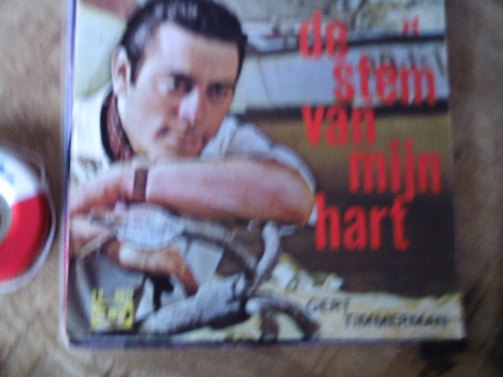 gert timmerman - de stem van mijn hart 29mei, Cd's en Dvd's, Vinyl Singles, Fotohoes, Ophalen of Verzenden, Zo goed als nieuw