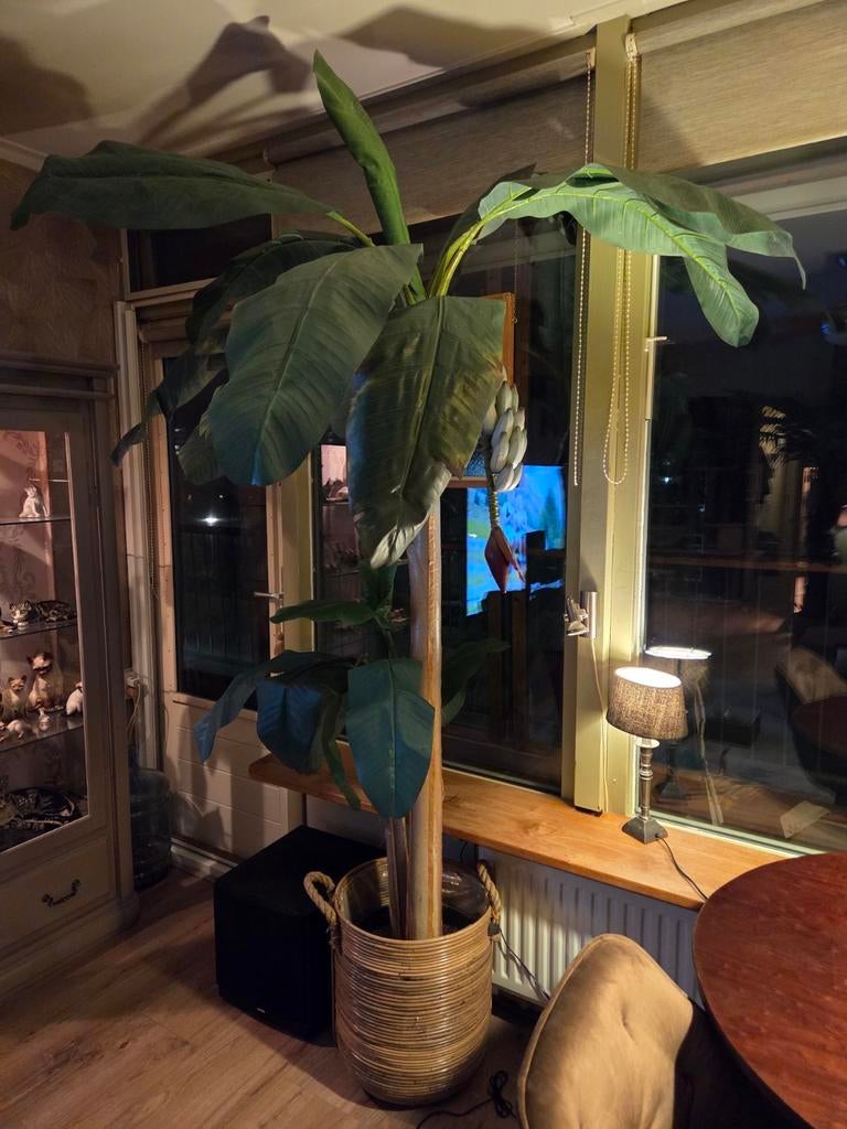 Kunstplant bananenboom, Ophalen, Bloeit niet, Overige soorten, Volle zon