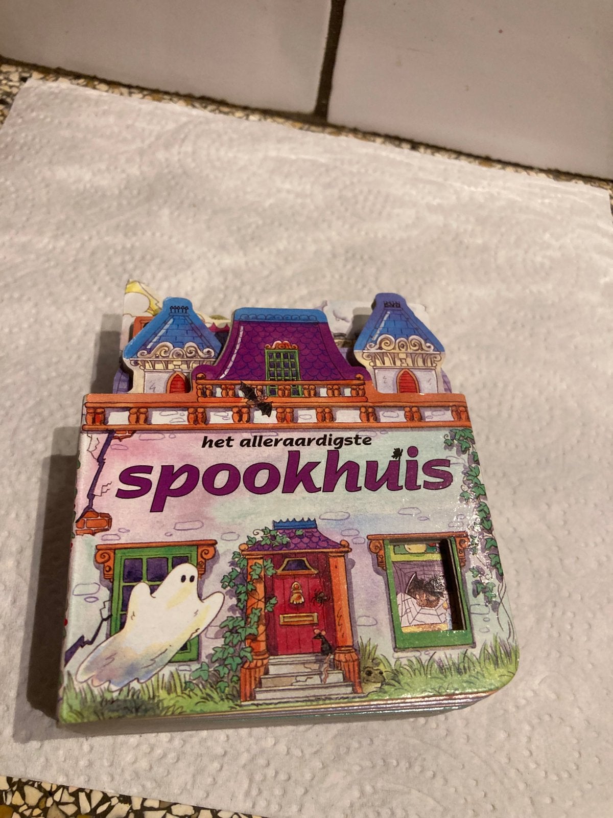 Boekje het spookhuis, Boeken, Ophalen of Verzenden, Zo goed als nieuw, Fictie algemeen