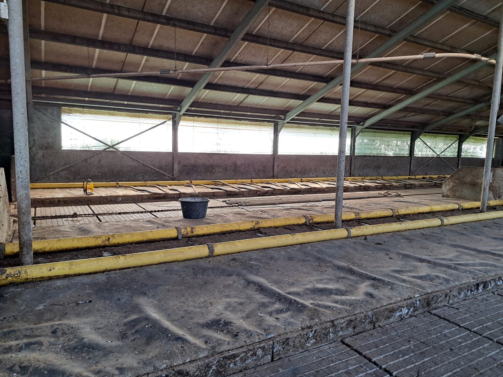 koematras