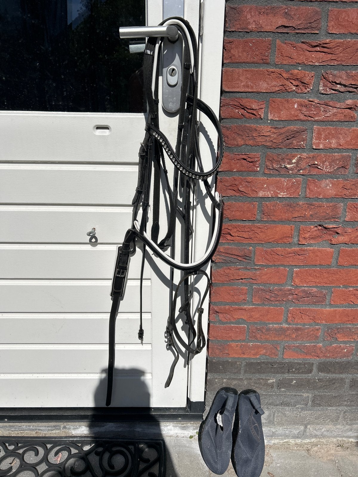 Hoofdstel full, Ophalen, Zo goed als nieuw, Dressuur
