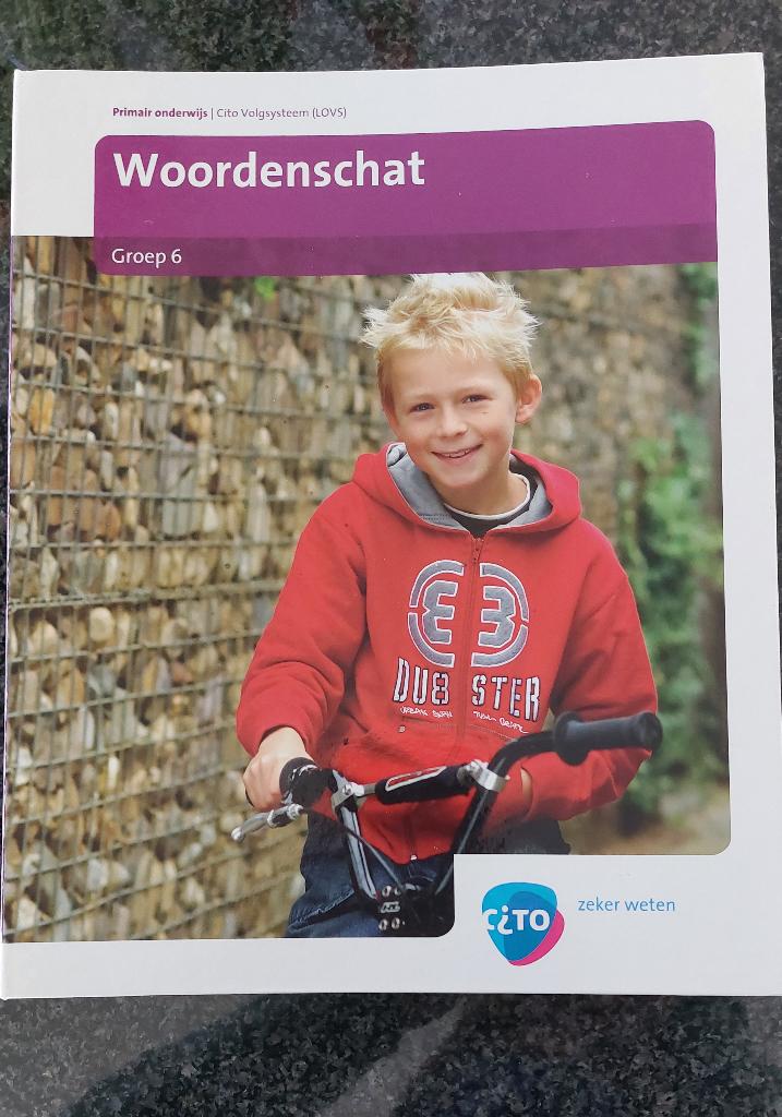 Cito Toets mappen (LOVS) Woordenschat Groep 6, Verzenden, Diverse auteurs, Zo goed als nieuw, Nederlands