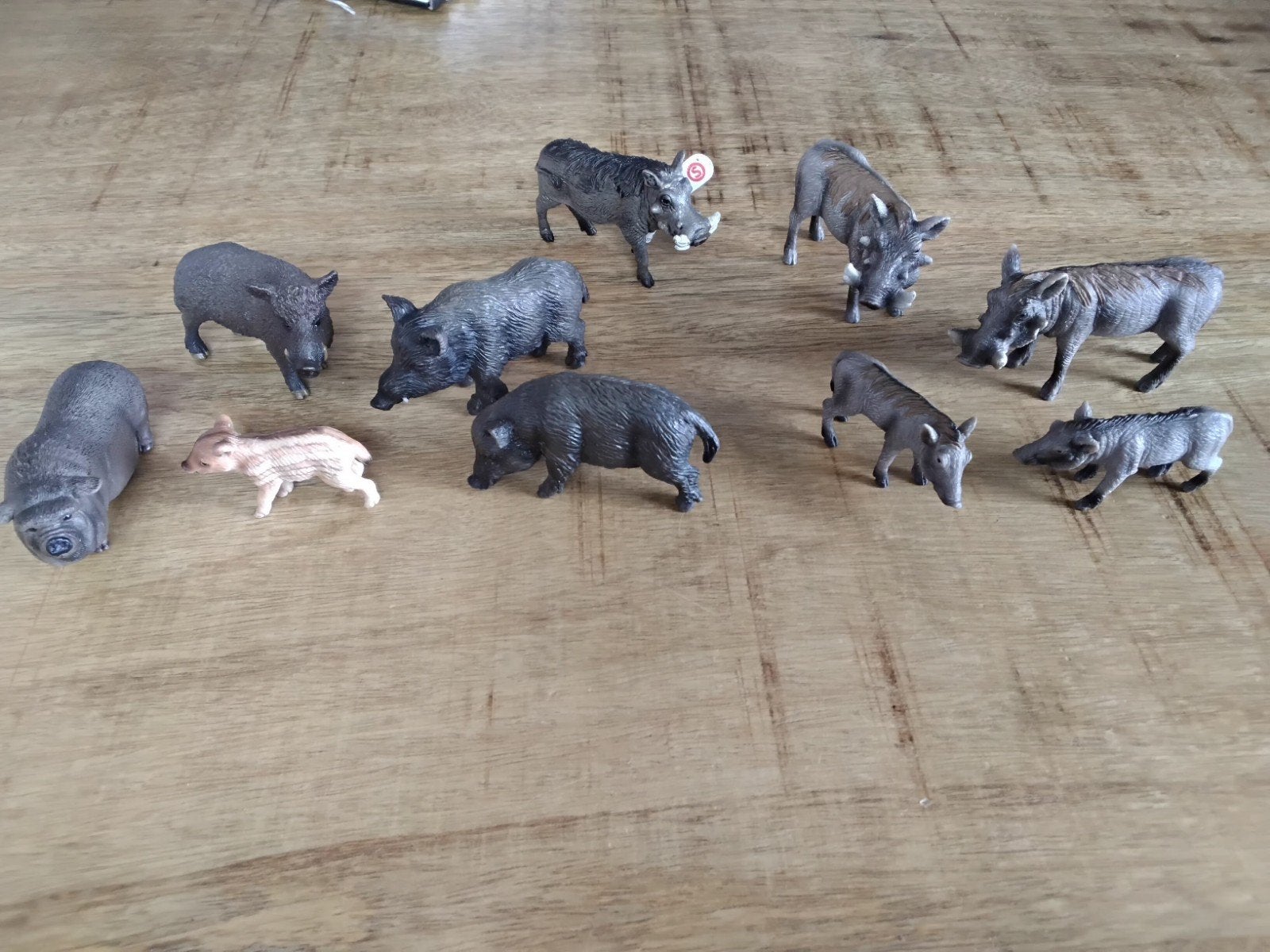 Schleich zwijnen, Ophalen of Verzenden