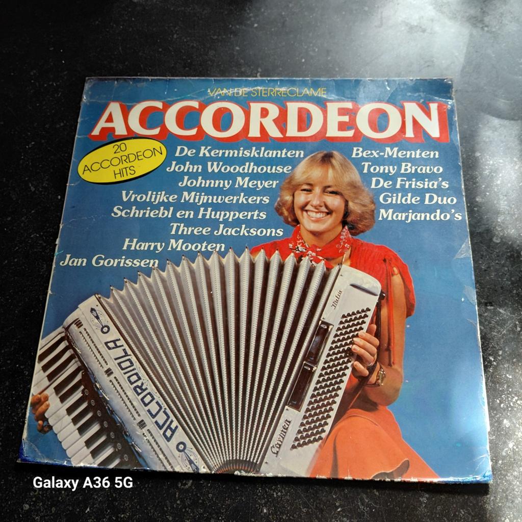 Accordeon - 20 Accordeon Hits LP (Diverse Artiesten), Gebruikt, Ophalen of Verzenden, Complilatie, 12 inch