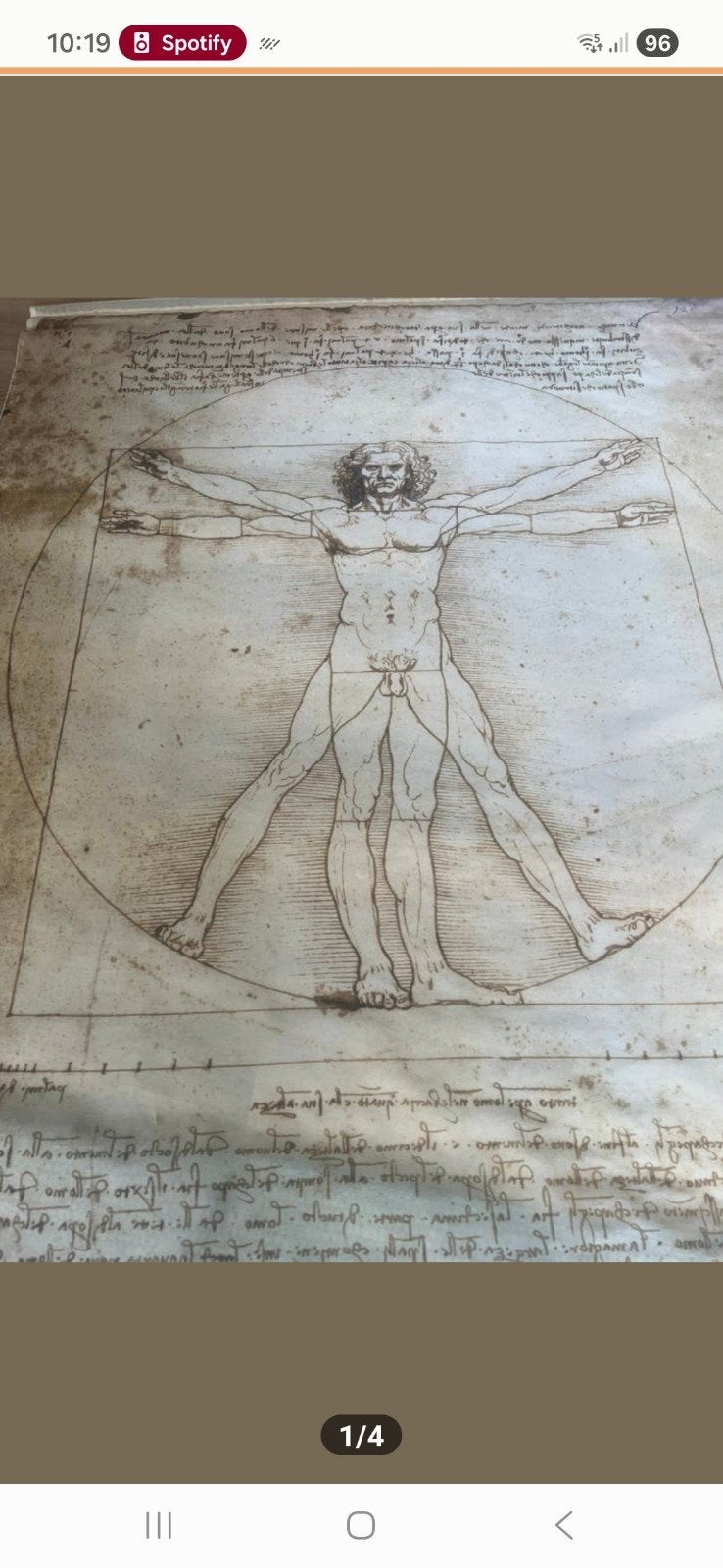 De Vitruviusman van Leonardo da Vinci - Reproductie, Ophalen, Reproductie, Print/reproductie