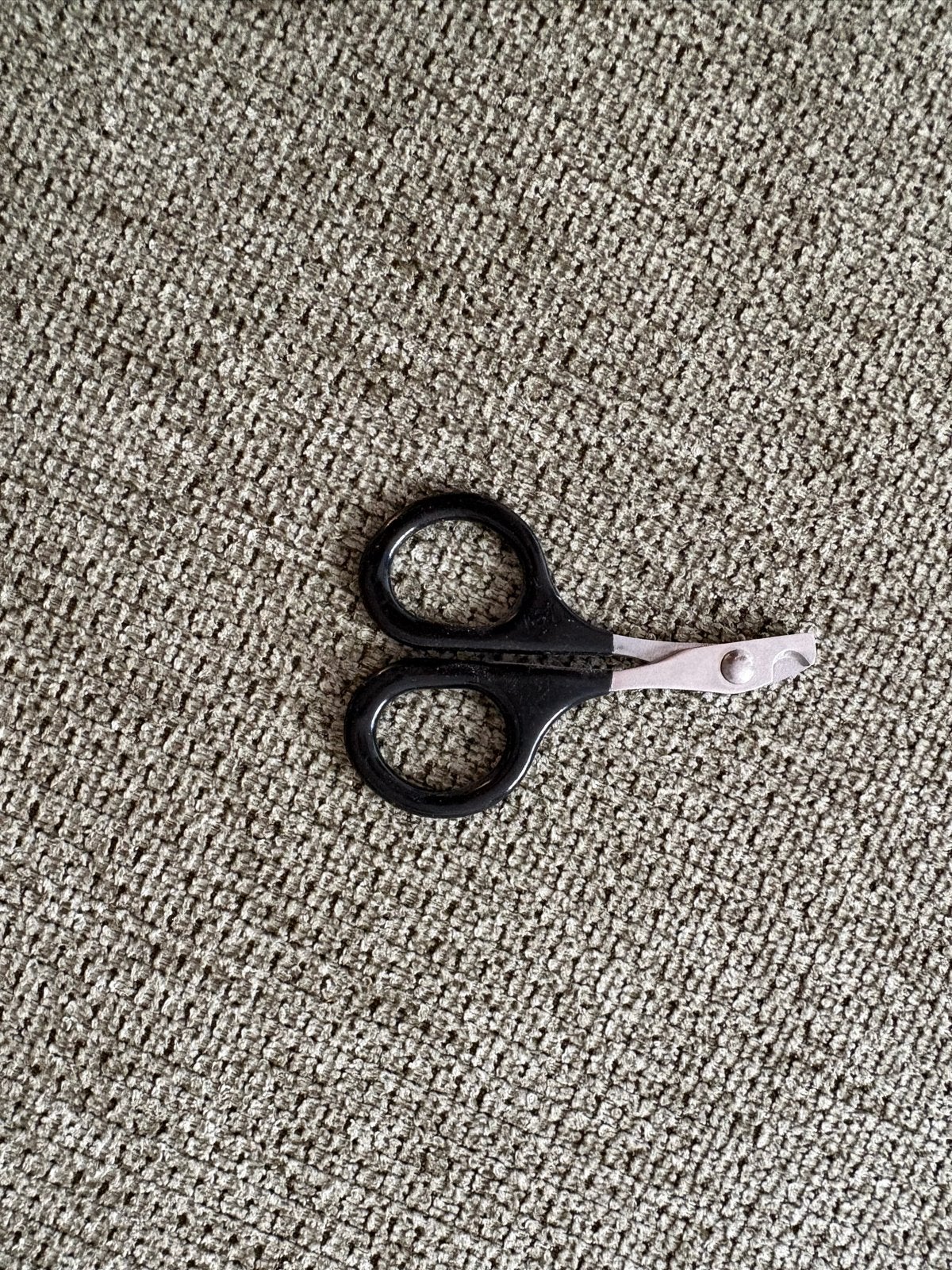 Nagelschaartje vogels, Ophalen of Verzenden, Zo goed als nieuw, Zand en Verzorging