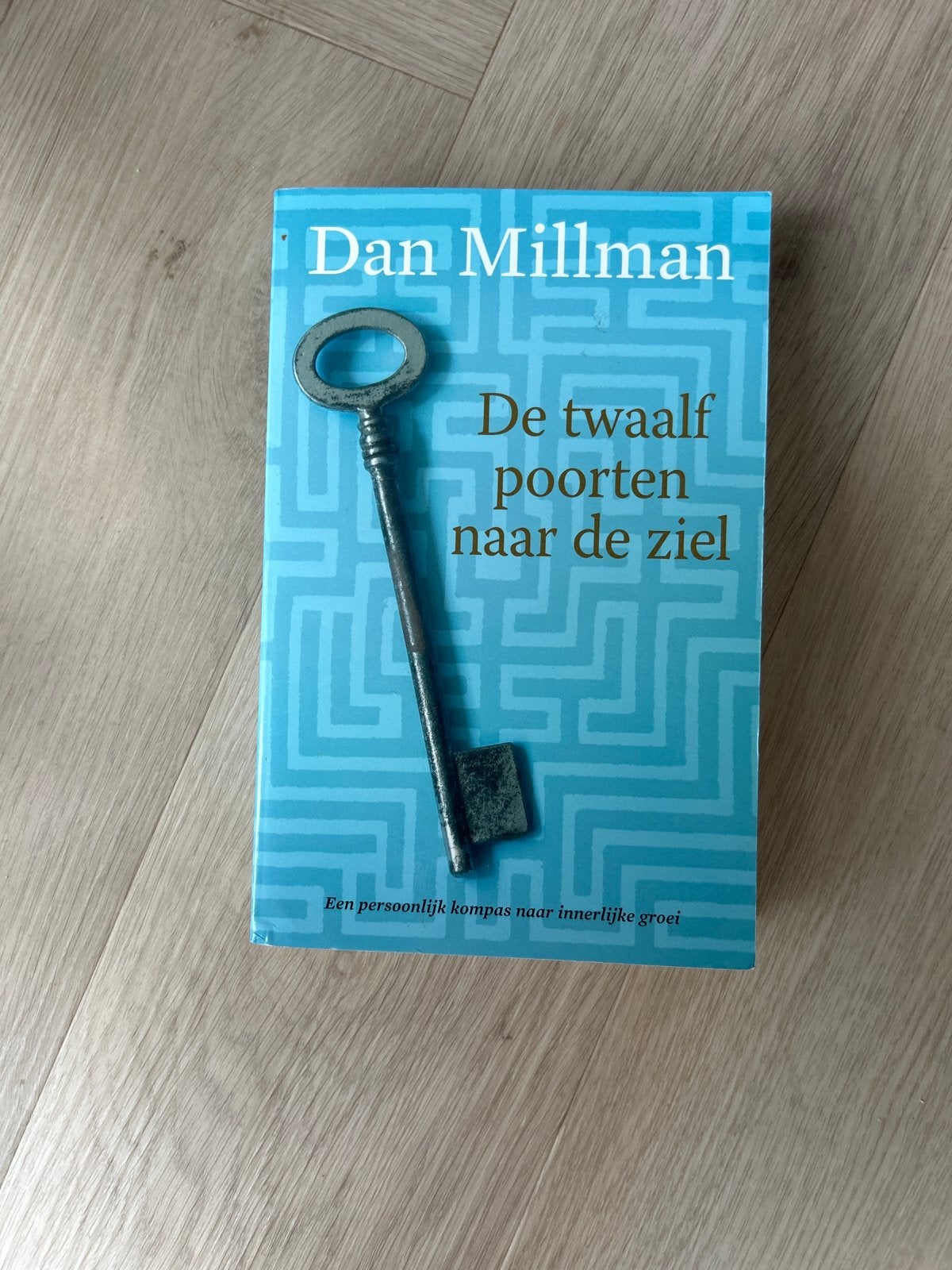 De Twaalf Poorten naar de Ziel - Dan Millman, Ophalen of Verzenden, Zo goed als nieuw, Ziel of Sterfelijkheid, Achtergrond en Informatie