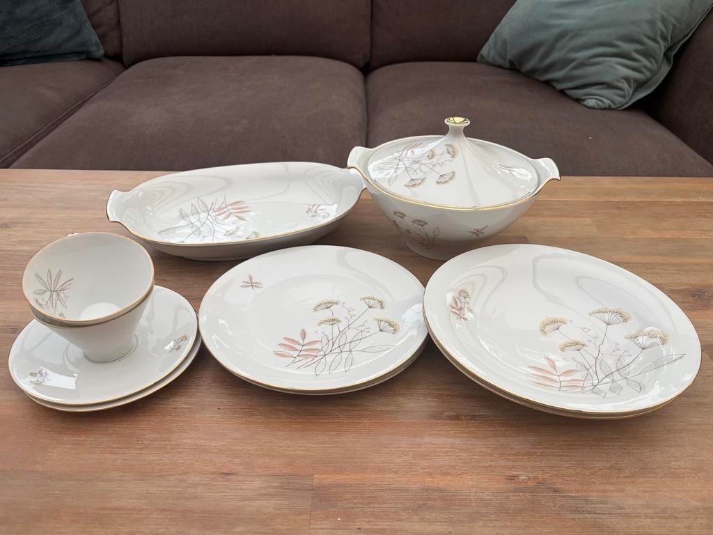 Vintage Wunsiedel Bavaria Porselein Servies, Ophalen