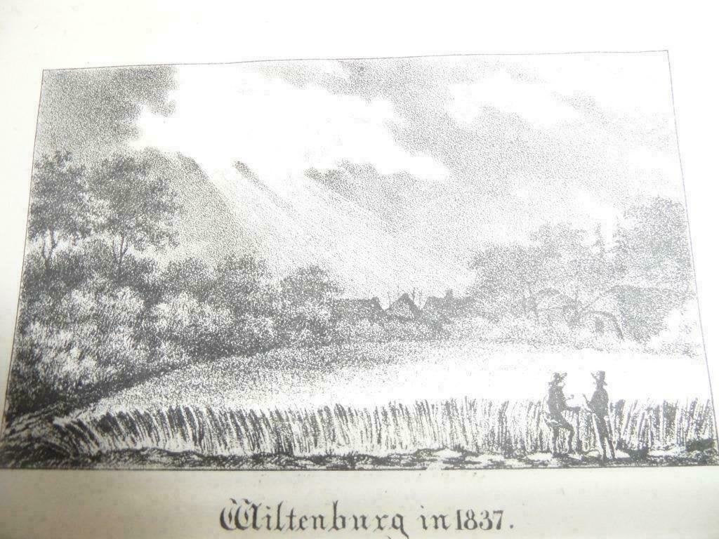 G 316 / Langerak / Willegen  Wiltenburg Houtgravure, Ophalen of Verzenden
