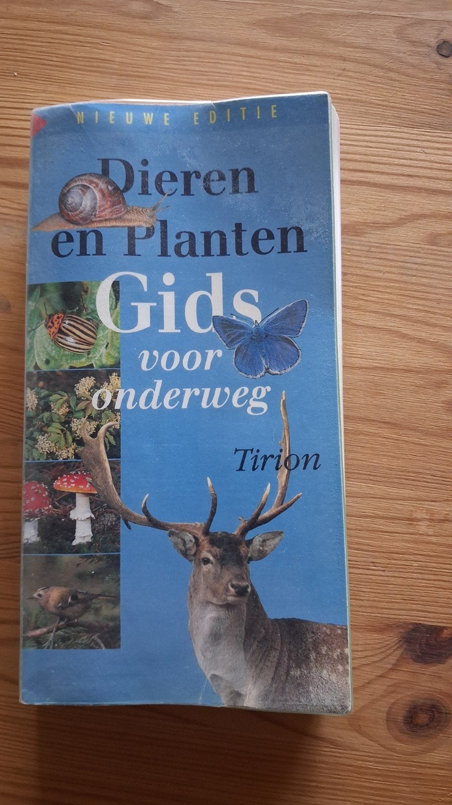 Dieren en Planten Gids voor onderweg - Nieuwe Editie, Ophalen of Verzenden, Zo goed als nieuw, Natuur algemeen, Onbekend