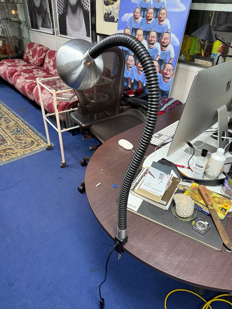 Raak Cobra lamp, flexibele hals , C1504, Ophalen, Gebruikt, Metaal, Minder dan 50 cm