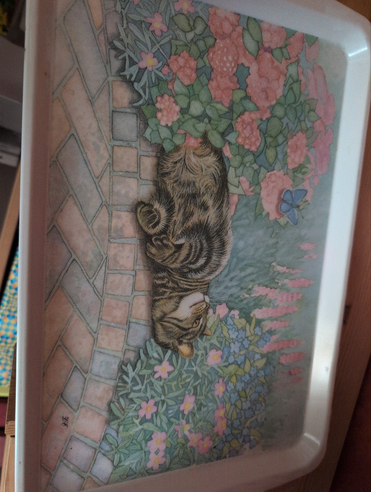 Kattig dienblad met kattenafbeelding - gratis af te halen, Ophalen, Gebruikt, Dienblad