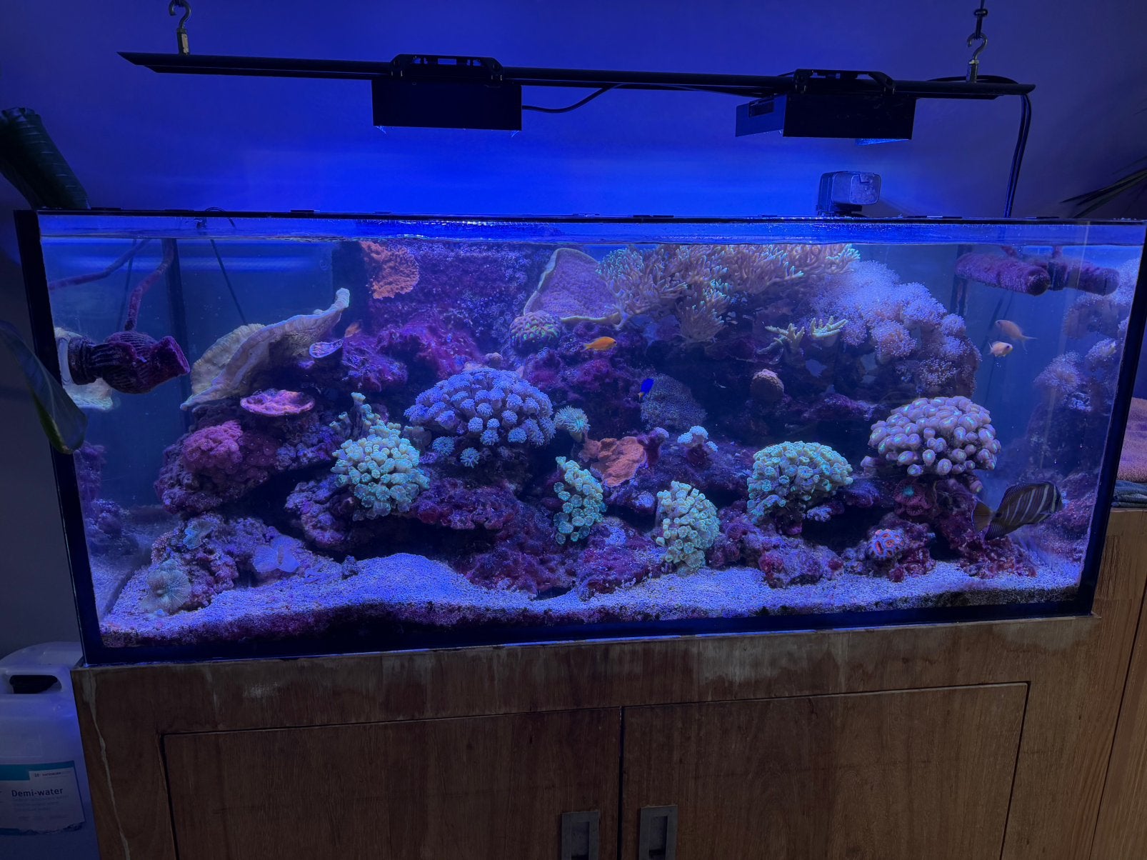 Zeeaquarium, Ophalen, Gevuld zeewateraquarium, Gebruikt, Inclusief controller