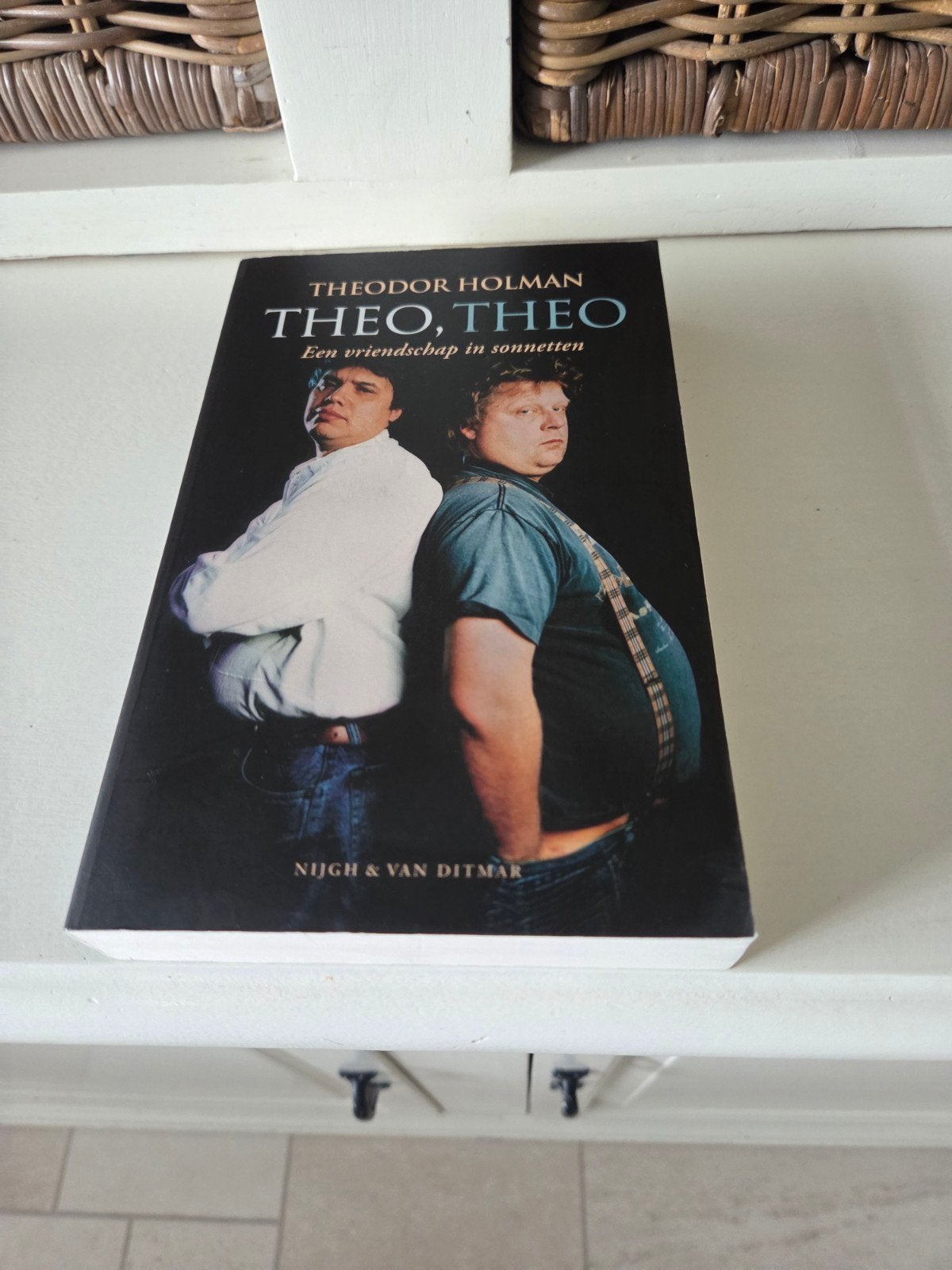 Theodor Holman - Theo, Theo, Boeken, Ophalen of Verzenden, Gelezen, Theodor Holman