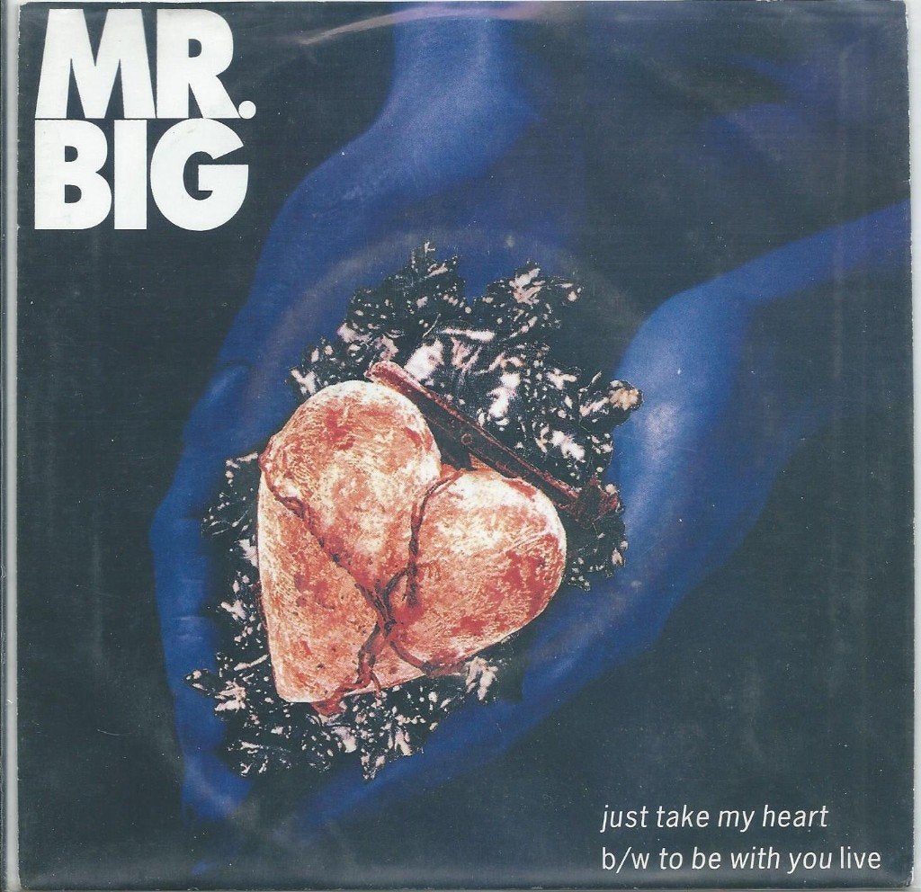 Vinyl Single Mr. Big, Ophalen of Verzenden, Gebruikt, Pop