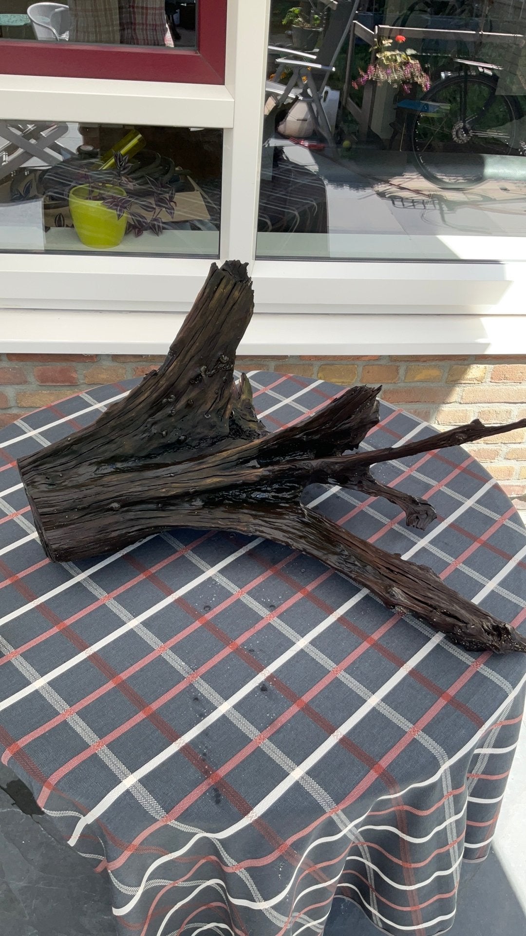 Aquarium hout., Dieren en Toebehoren, Ophalen of Verzenden, Zo goed als nieuw, Plant(en), Steen of Hout