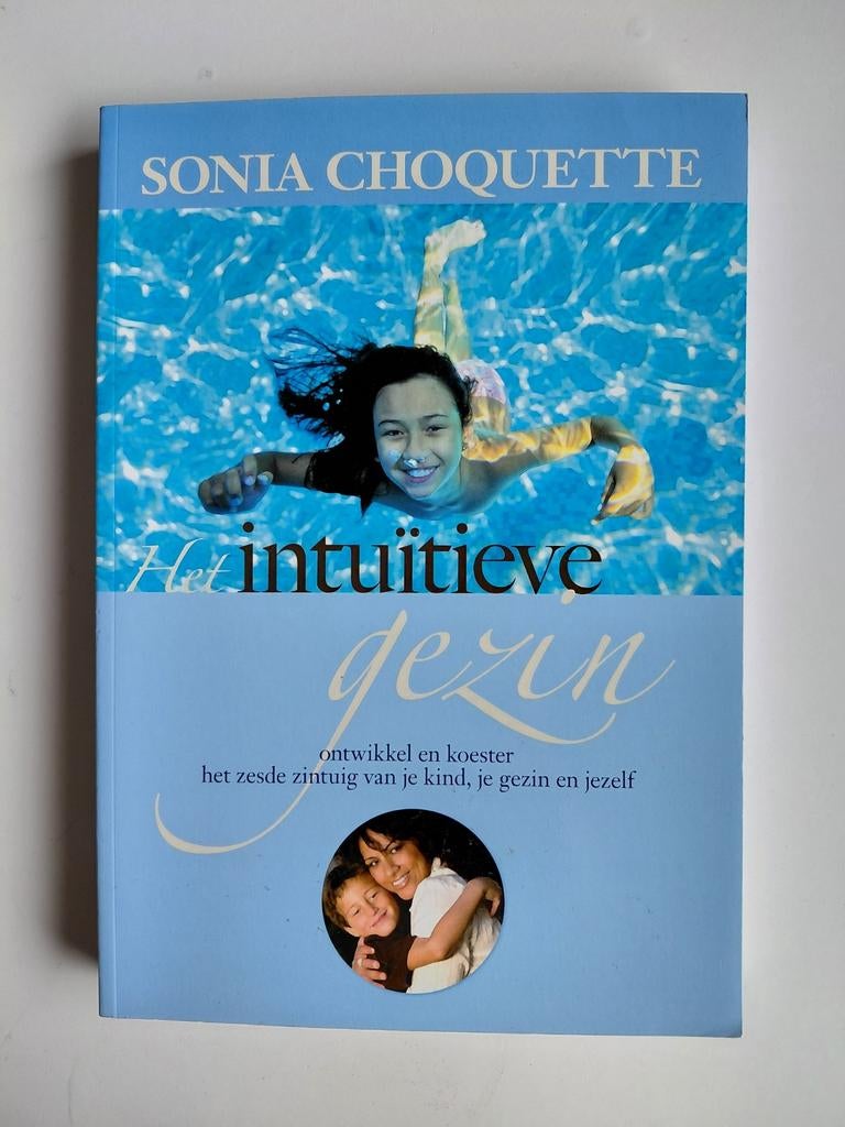 Sonia Choquette - Het intuïtieve gezin, Achtergrond en Informatie, Spiritualiteit algemeen, Ophalen of Verzenden, Zo goed als nieuw