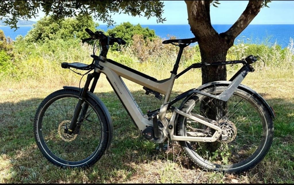 Superdelite Riese & Müller, Fietsen en Brommers, Fietsen | Heren | Herenfietsen, Gebruikt, Overige merken, 49 tot 53 cm, Versnellingen