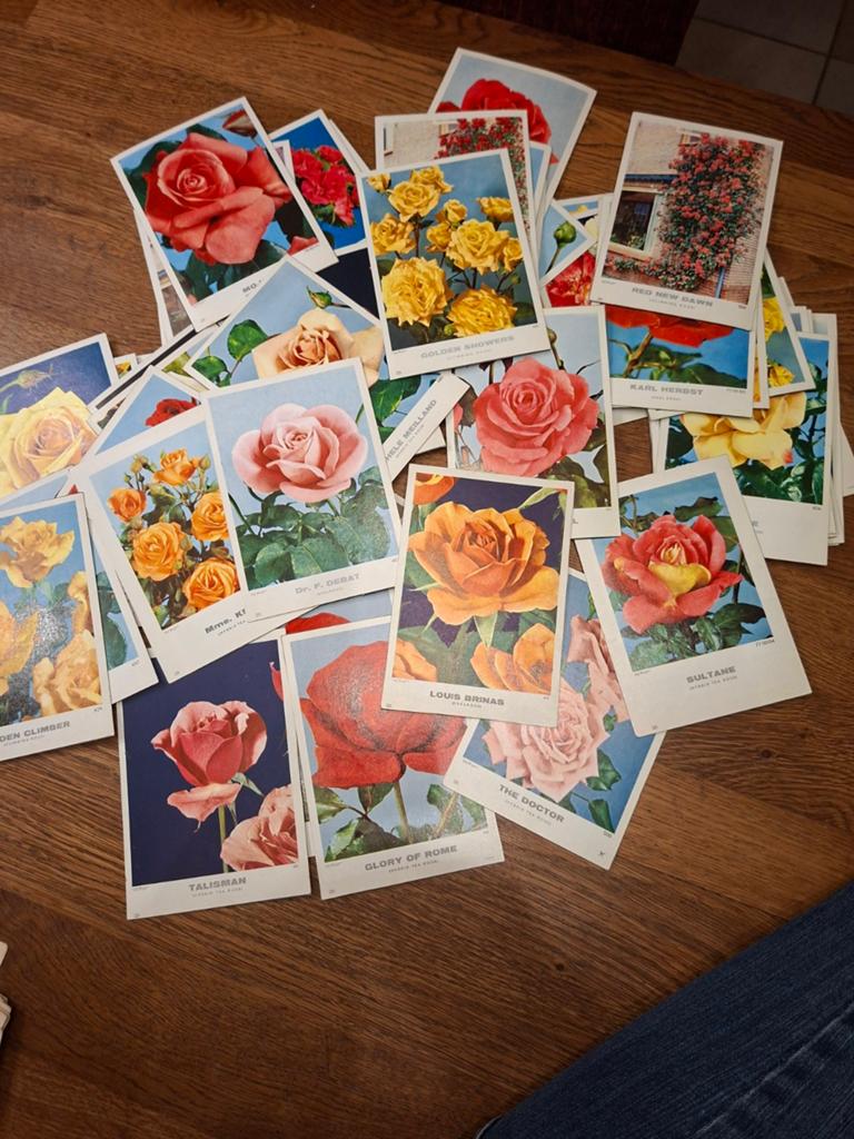 Bloemen rozen planten kaarten, Ophalen of Verzenden, Meerdere plaatjes