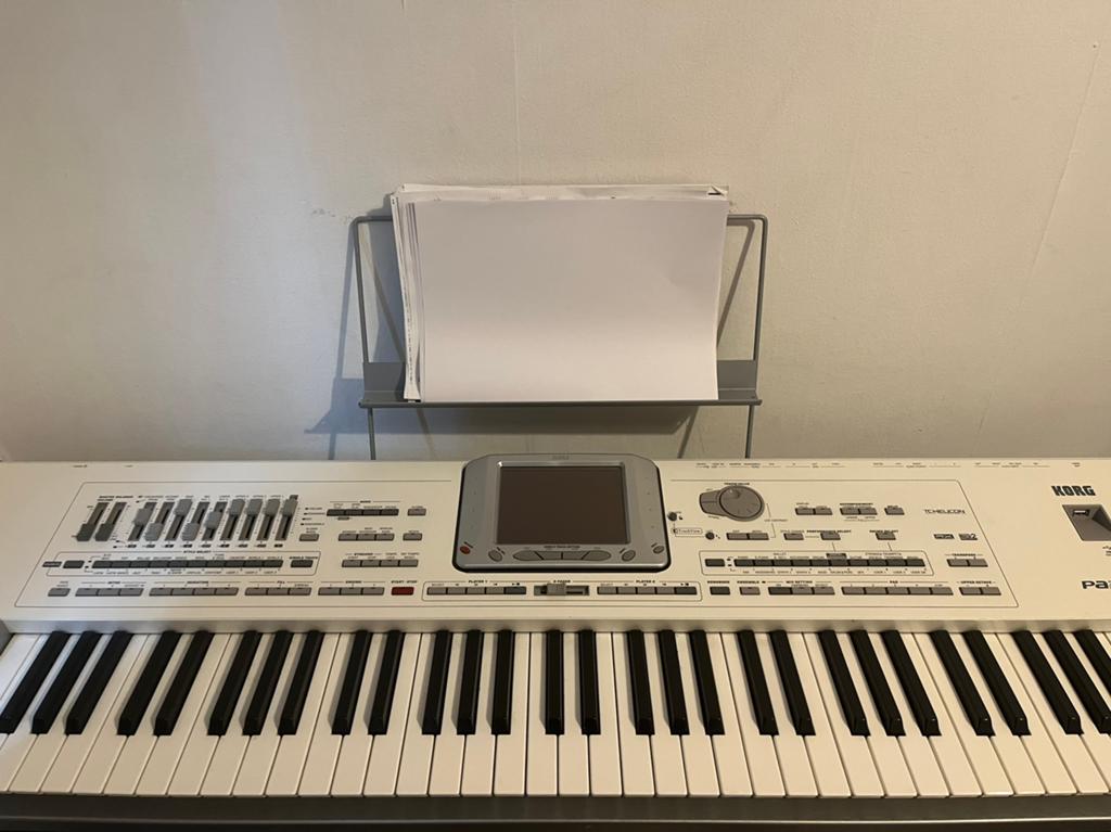 KORG - PA2XPRO, Ophalen, 61 toetsen, Korg, Zo goed als nieuw