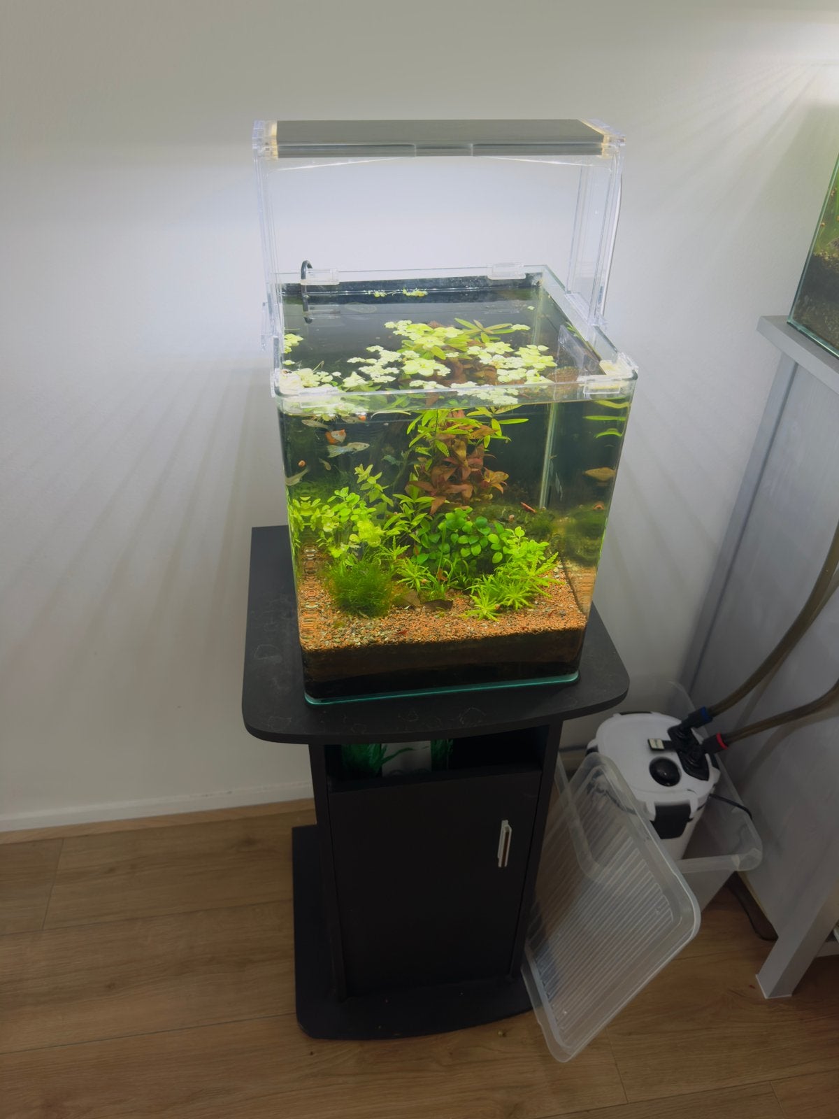 Nano cube 32L aquarium, Ophalen, Zo goed als nieuw, Gevuld zoetwateraquarium, Dennerle