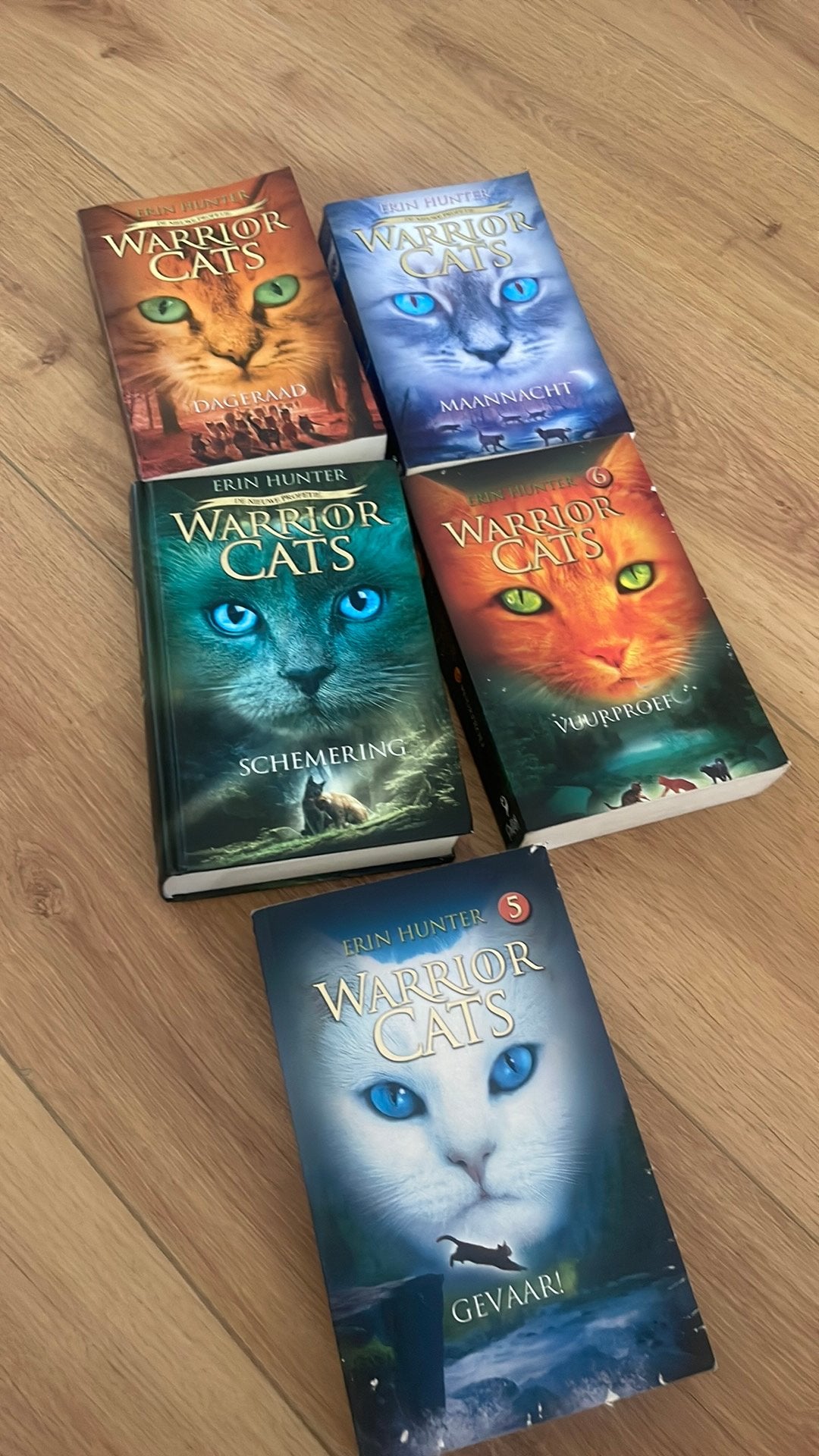 Warrior cats boeken, Ophalen of Verzenden, Zo goed als nieuw