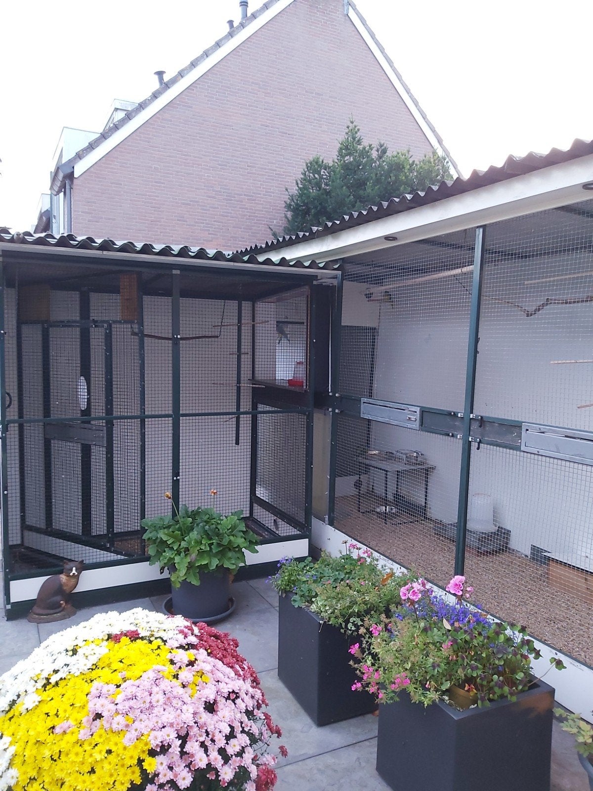 te koop vogel volière, Dieren en Toebehoren, Ophalen, Overige materialen, Volière