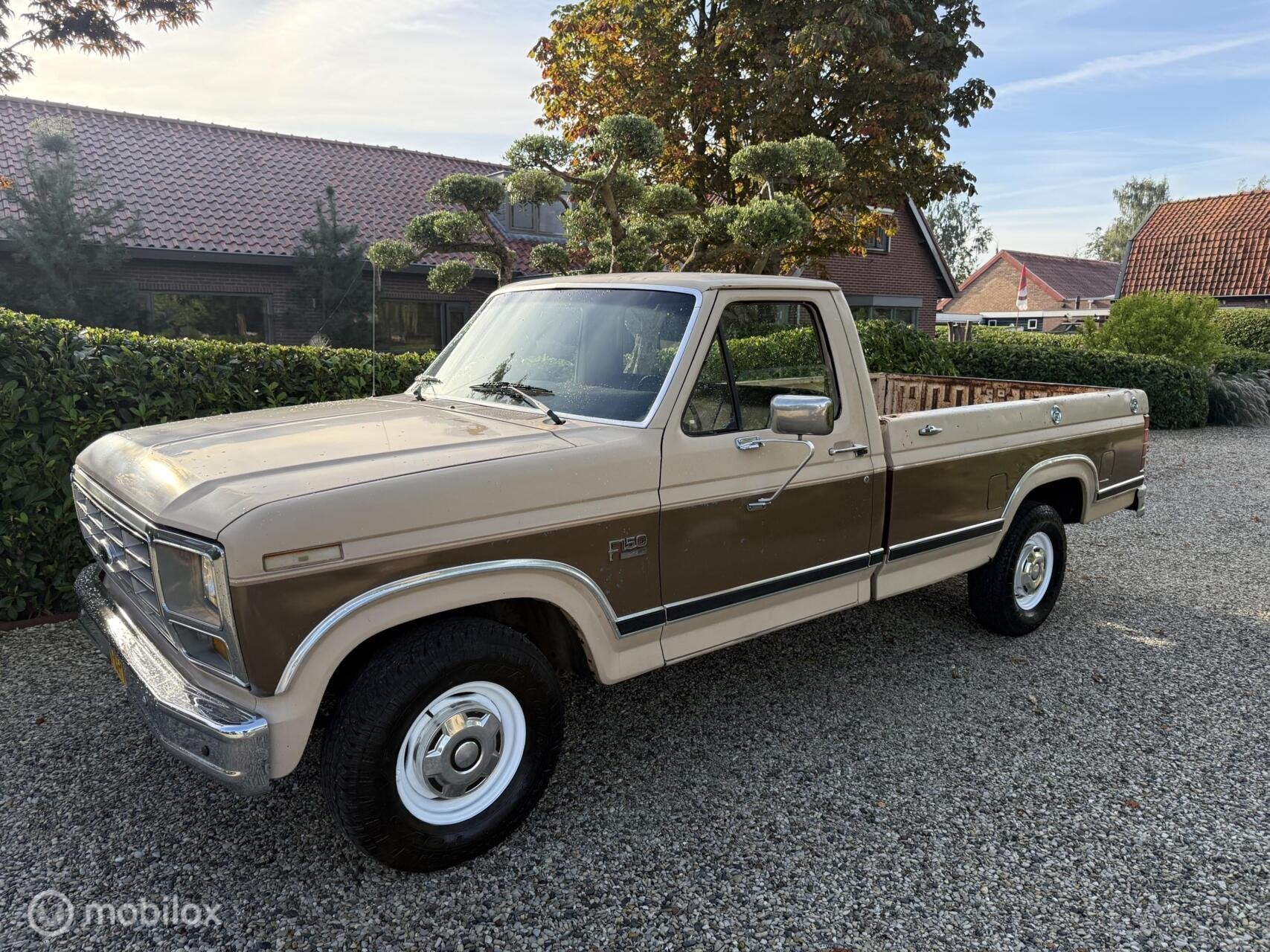 Ford F-150 5.0 V8 EFI Automaat 1986, 188 pk, 5000 cc, Overige carrosserieën, Ford