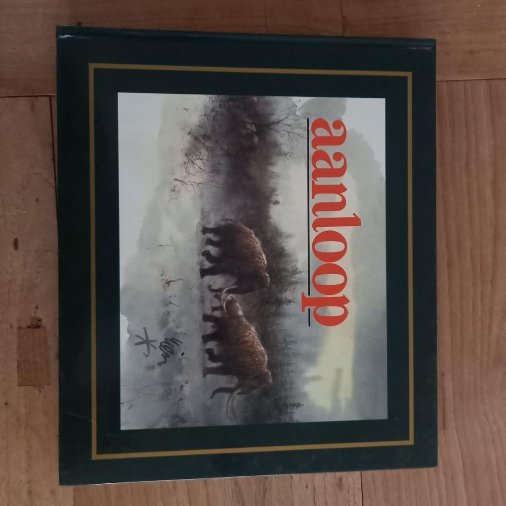 Aanloop - Prachtig boek van Rien Poortvliet, Ophalen of Verzenden, Zo goed als nieuw, Rien Poortvliet