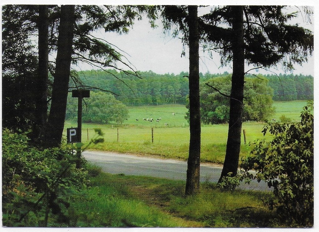 De Steeg panorama Lappendeken Gelopen Ansichtkaart ( B4263, Ophalen of Verzenden, 1980 tot heden, Gelopen, Gelderland