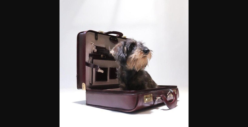 Hollywood Regency Pilotenkoffer Attache Bordeaux, Ophalen, Gebruikt, Slot, Minder dan 35 cm