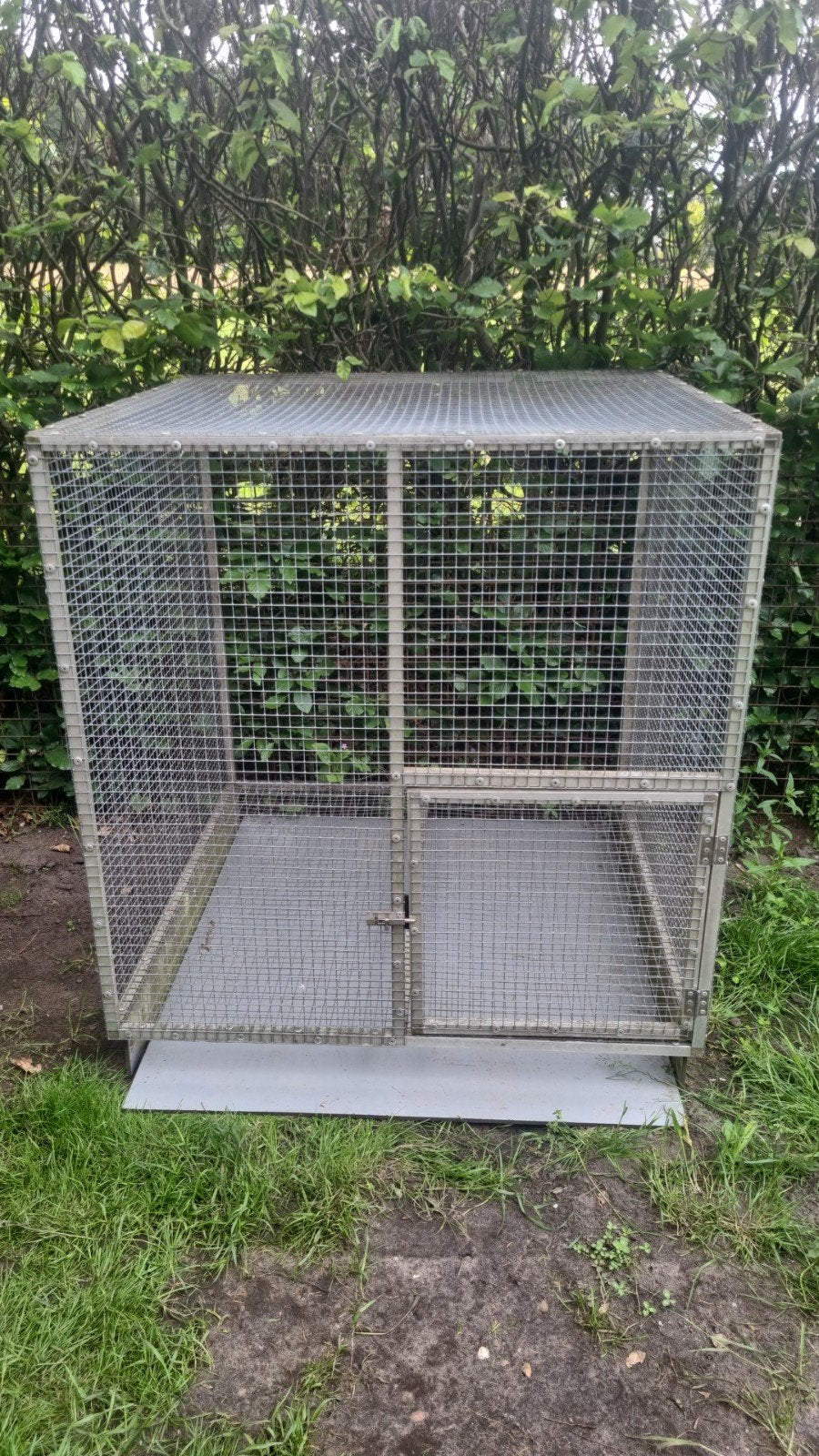 Schitterende aluminium uitvliegkooi muurvoliere postduiven, Dieren en Toebehoren, Ophalen, Zo goed als nieuw, Aluminium, Volière