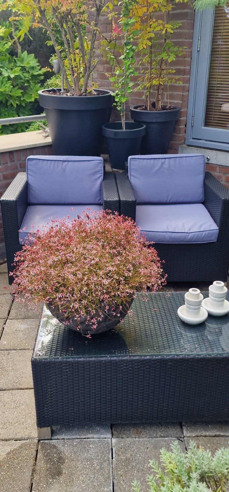 Wicker loungestoelen met tafel - Collection Bois Le Duc, Tuin en Terras, Gebruikt, Bijzettafel, Loungeset, Wicker