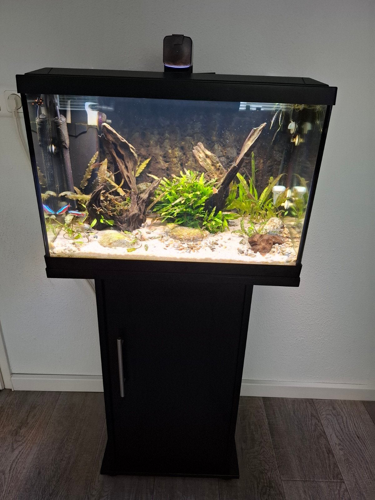 Zeer compleet Superfish Aqua Expert 70 aquarium, Ophalen, Inclusief controller, Zo goed als nieuw, Superfish