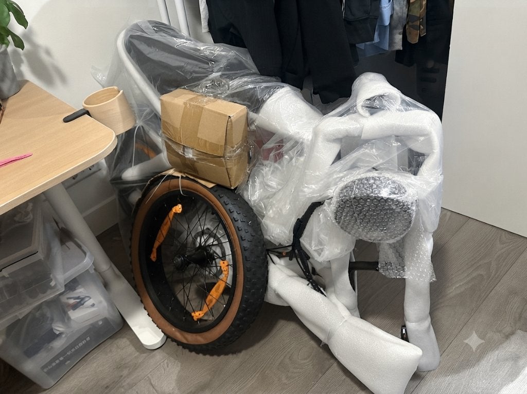 RCB Elektrische Fatbike RK29 NIEUW, Fietsen en Brommers, Elektrische fietsen, Overige merken, Nieuw, Ophalen of Verzenden, 59 cm of meer